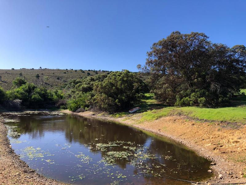 0 Bedroom Property for Sale in Baardskeerdersbos Western Cape